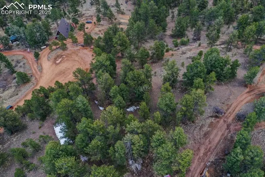 102 Blue Bell Circle, Cripple Creek, CO 80813 - Image #3