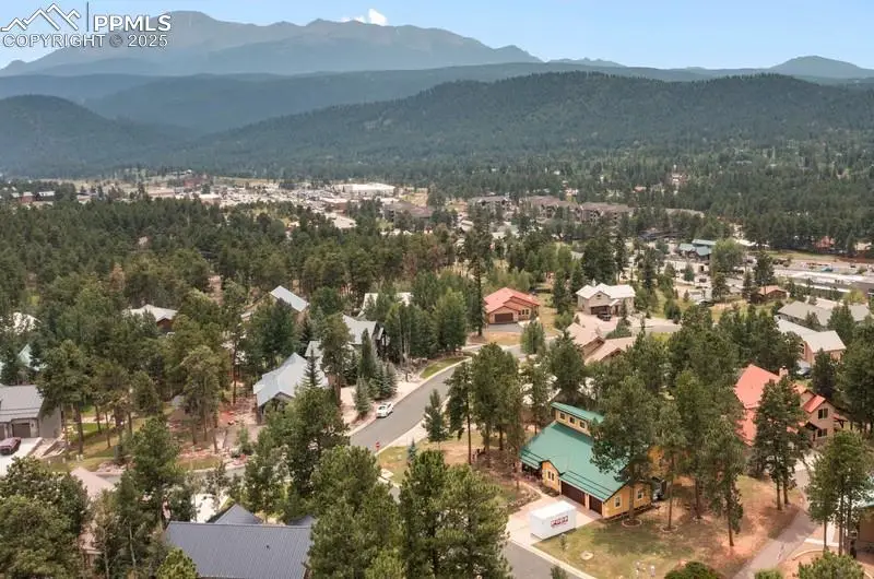 311 Panther Court, Woodland Park, CO 80863 - Image #3