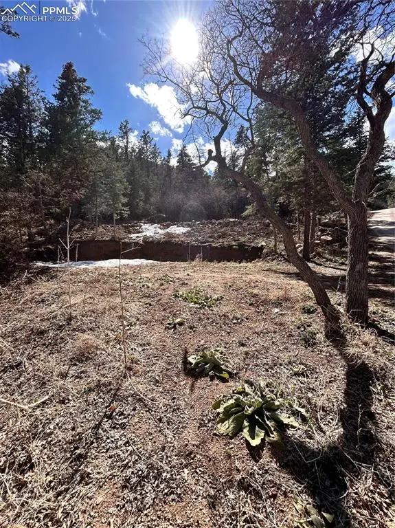 0 Pine Lane, Colorado Springs, CO 80906 - Image #3