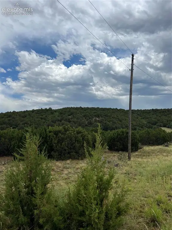 Sunrise Road, Walsenburg, CO 81089 - #2