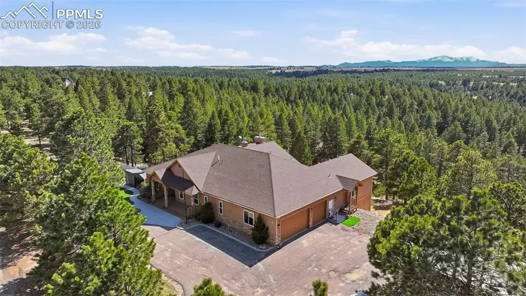 19650 Saddle Blanket Lane, Peyton, CO 80831 - #1