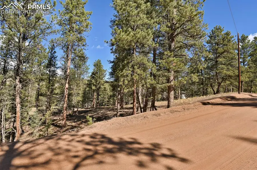 504 Bear Mountain Road, Florissant, CO 80816 - Image #3