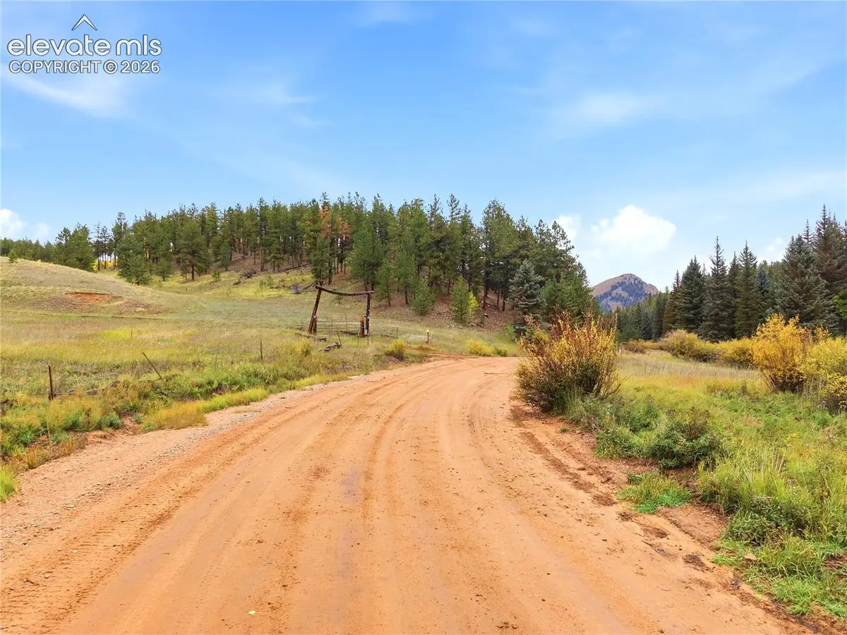 8567 County Road 3, Divide, CO 80814 - #1