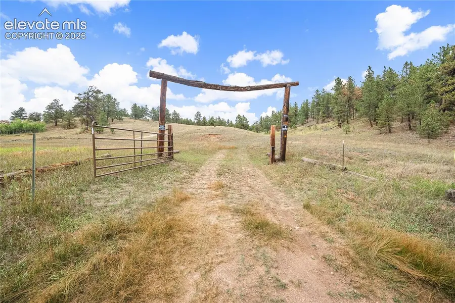8567 County Road 3, Divide, CO 80814 - #2