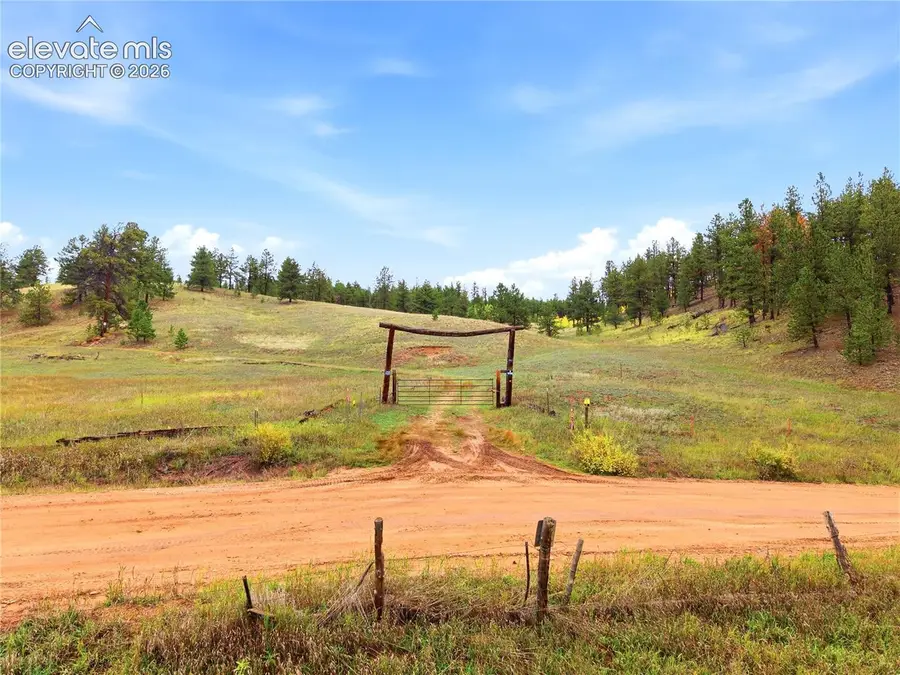 8567 County Road 3, Divide, CO 80814 - #3