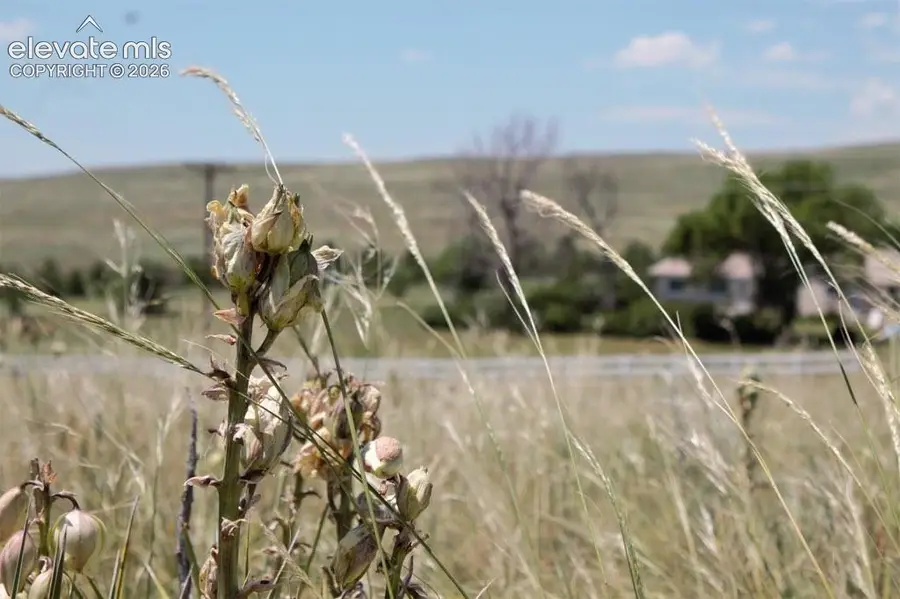 Tract 4 Mcclelland Road, Calhan, CO 80808 - #2