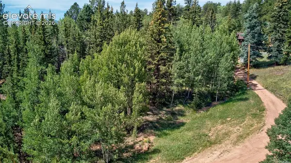 158 Rattler Court, Cripple Creek, CO 80813