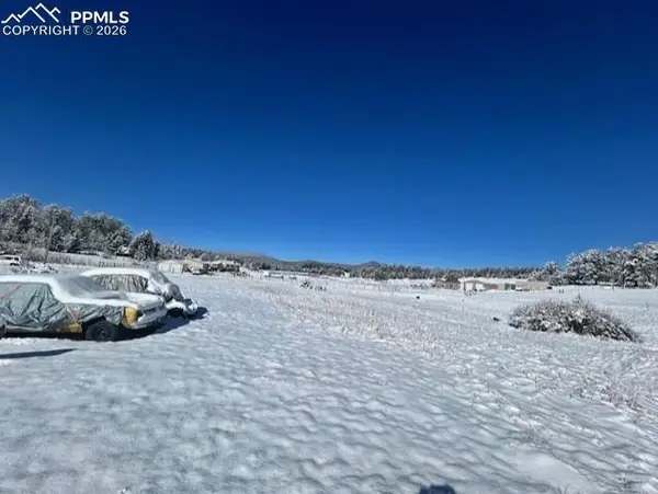 84 Wrangler Drive, Lake George, CO 80827