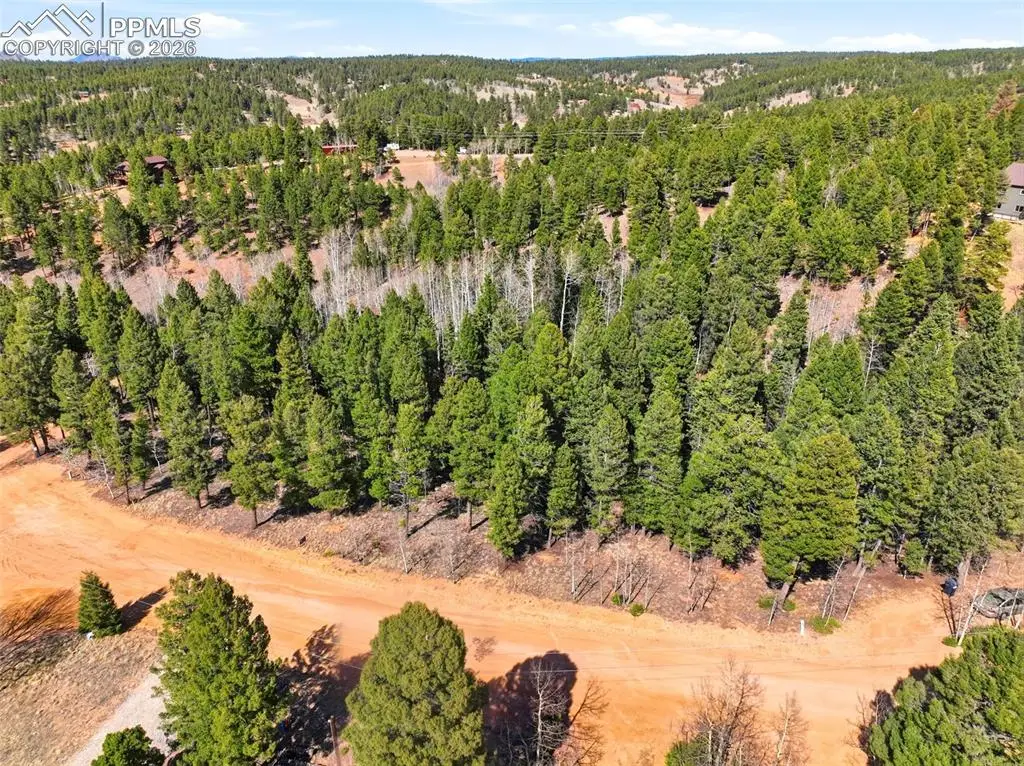 278 Cherry Lake Drive, Divide, CO 80814 - #1