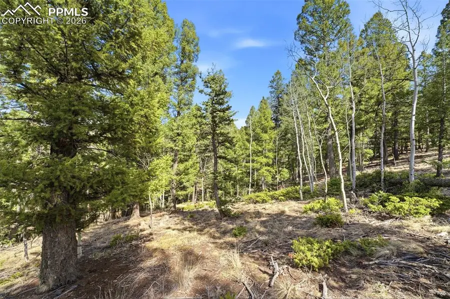 278 Cherry Lake Drive, Divide, CO 80814 - #2