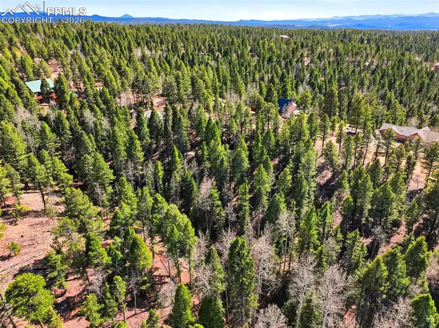 278 Cherry Lake Drive, Divide, CO 80814 - #3