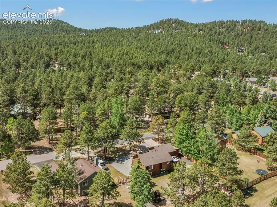 1010 W Bowman Avenue, Woodland Park, CO 80863 - #3