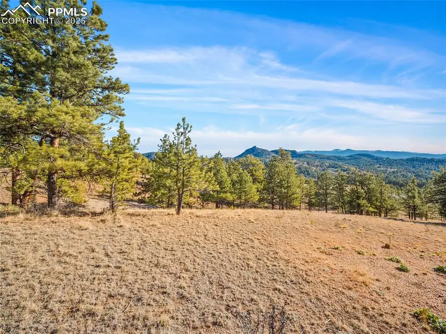 2706 Southpark Road, Florissant, CO 80816 - Image #3