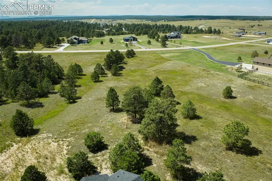 11556 Bison Meadows Court, Colorado Springs, CO 80908 - #2