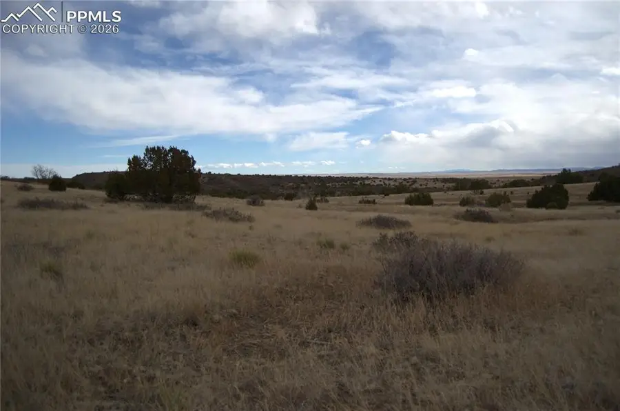 Rosemoore Drive, Colorado City, CO 81069 - #2