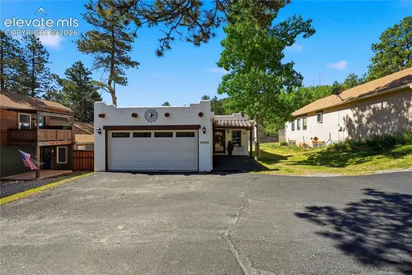 1113 Browning Avenue, Woodland Park, CO 80863