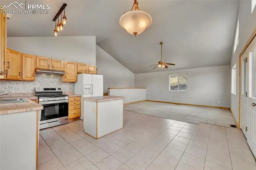 180 E Cobb Lane, Guffey, CO 80820 - Image #3