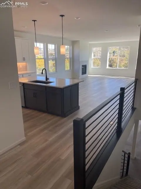 2860 Madrona Court, Castle Rock, CO 80108 - Image #3