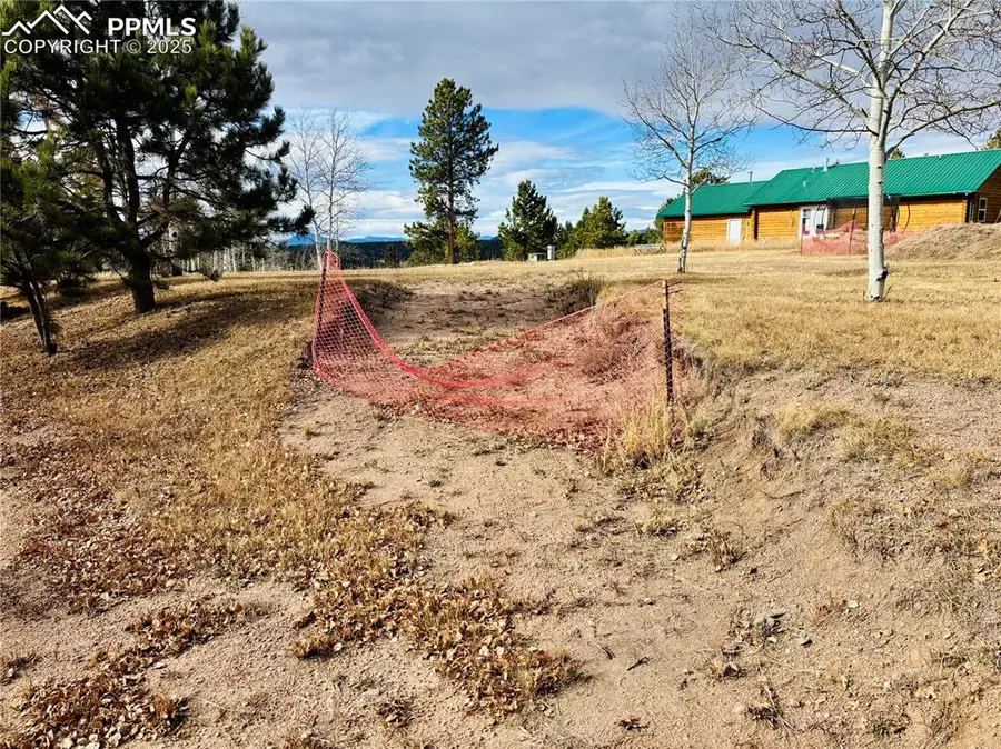 799 Elfin Glen Drive, Divide, CO 80814 - Image #2