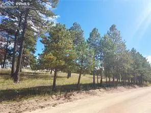 13395 Frank Road, Colorado Springs, CO 80908 - #3