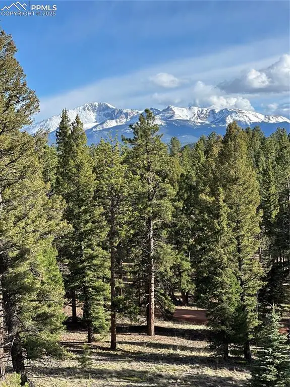 Sourdough Road, Woodland Park, CO 80863 - Image #2