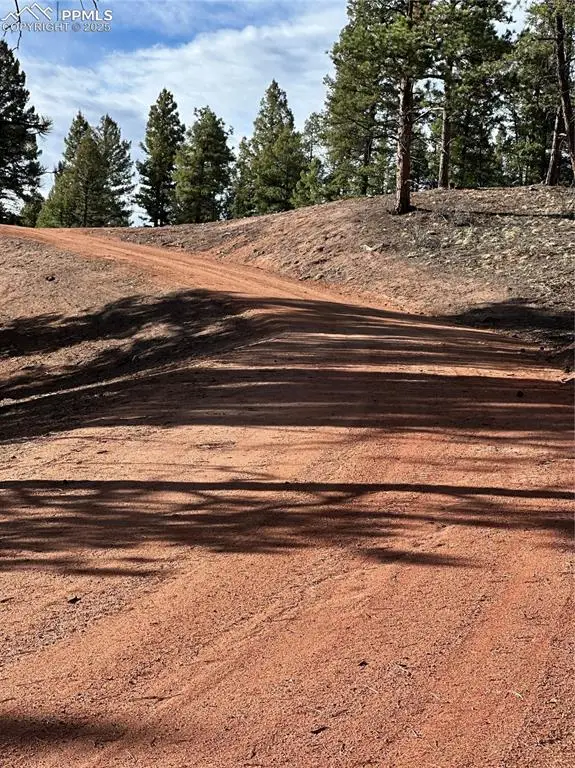 Sourdough Road, Woodland Park, CO 80863 - Image #3