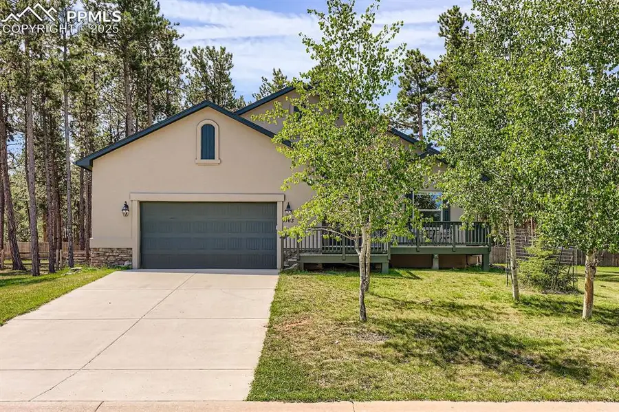 1163 Ptarmigan Drive, Woodland Park, CO 80863 - #2