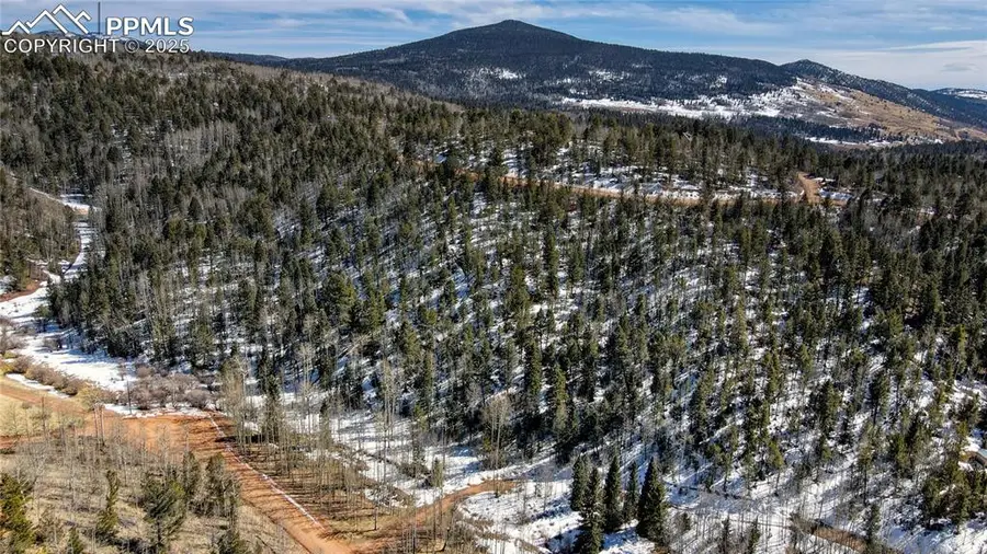 1601 May Queen Drive, Cripple Creek, CO 80813 - #2