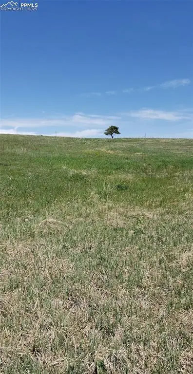 18795 Brown Road, Colorado Springs, CO 80908 - #2