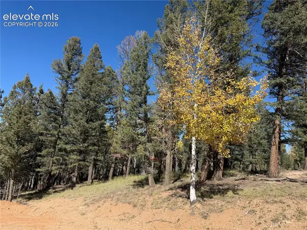 37 Serenity Circle, Florissant, CO 80816