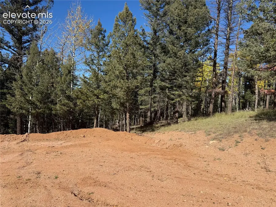 37 Serenity Circle, Florissant, CO 80816 - #3