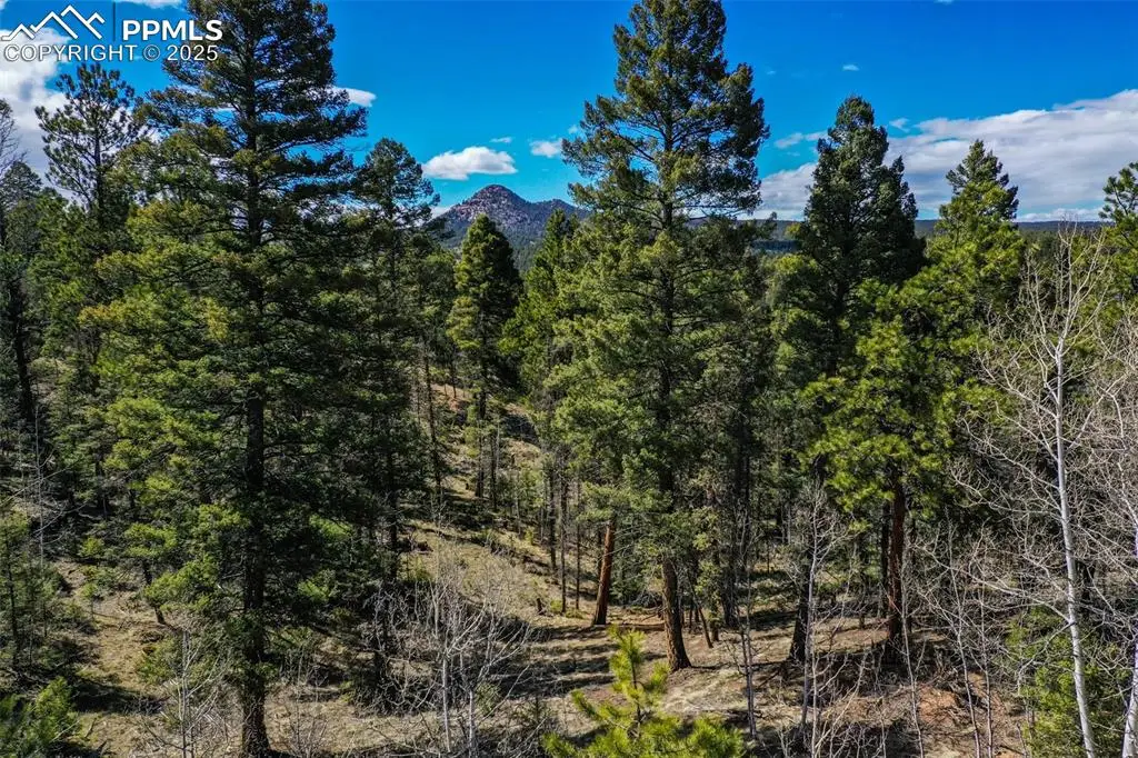 360 Tejon Creek Trail, Florissant, CO 80816 - Image #1