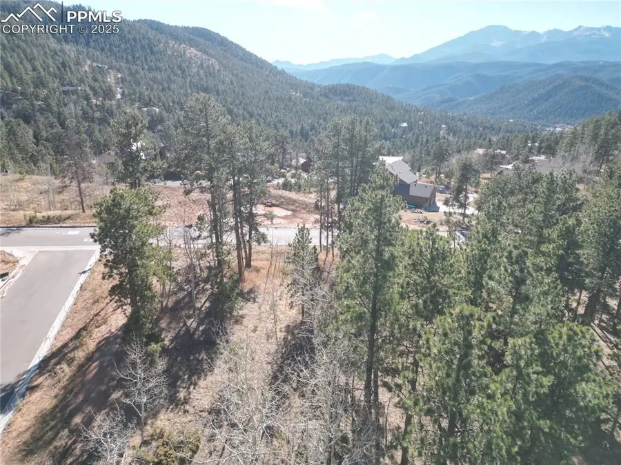 1310 Blue Haven Place, Woodland Park, CO 80863 - Image #2