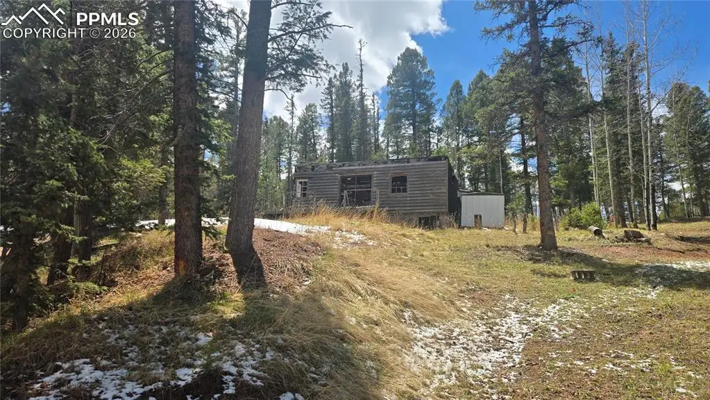 129 Mt Elbert Road, Florissant, CO 80816 - #1