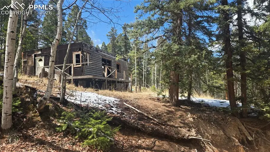 129 Mt Elbert Road, Florissant, CO 80816 - #2