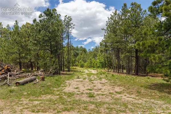 8719 Ponderosa Pine Drive, Beulah, CO 81023