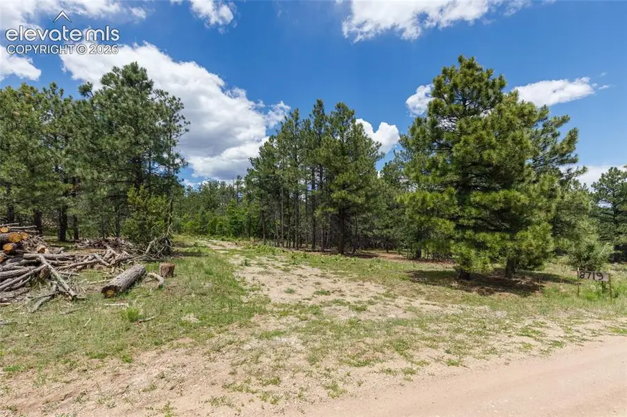 8719 Ponderosa Pine Drive, Beulah, CO 81023 - #2