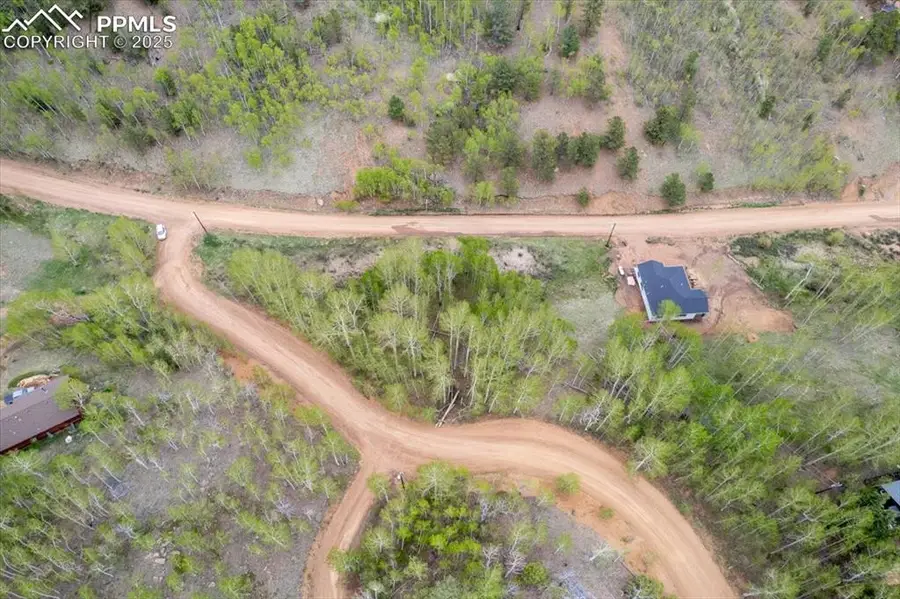 155 Granite Lane, Cripple Creek, CO 80813 - Image #2