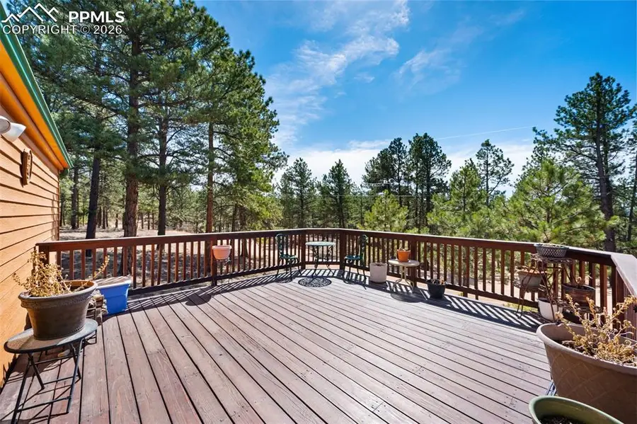 1299 Pikes Peak Drive, Florissant, CO 80816 - #3