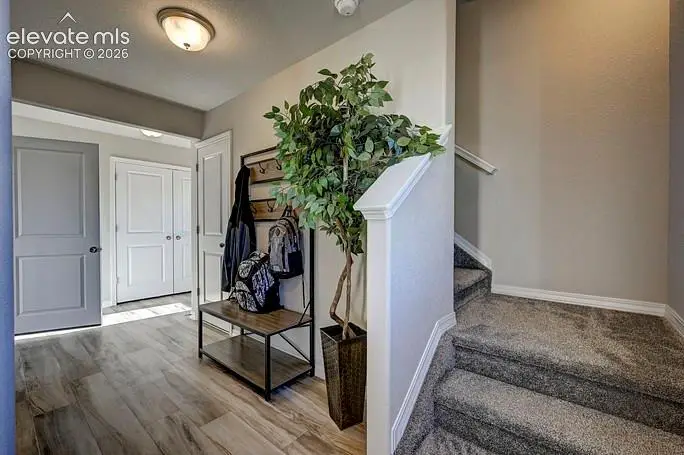 4983 Havenward View, Colorado Springs, CO 80920 - #2