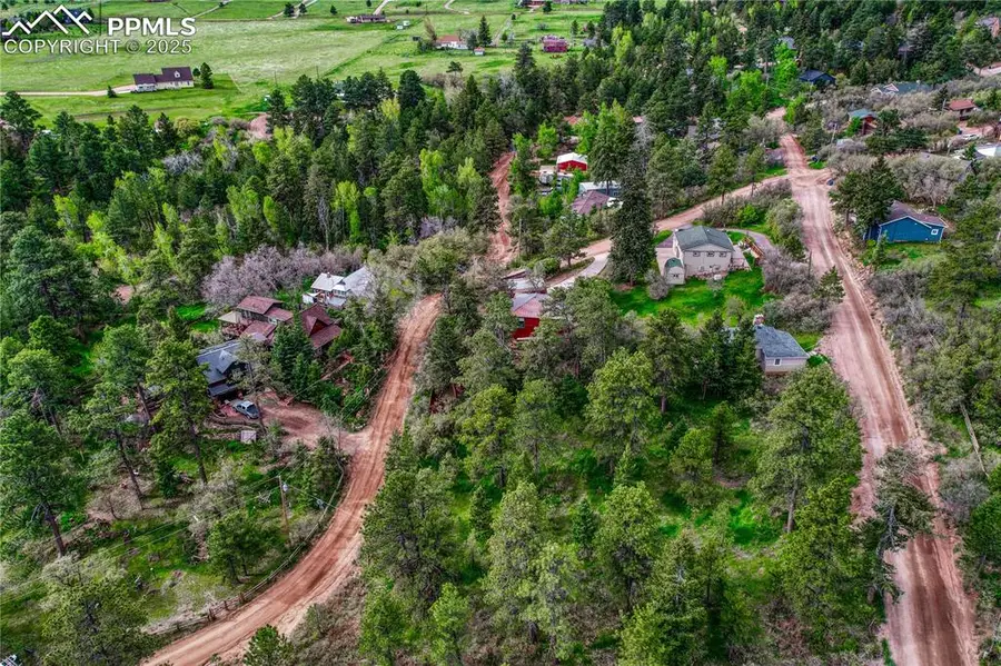 Buena Vista Avenue, Palmer Lake, CO 80133 - Image #3