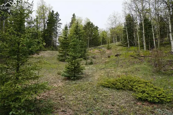Vacant Land, Cripple Creek, CO 80813