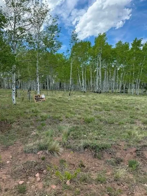 417 Aspen Way Drive, Florissant, CO 80816 - #2