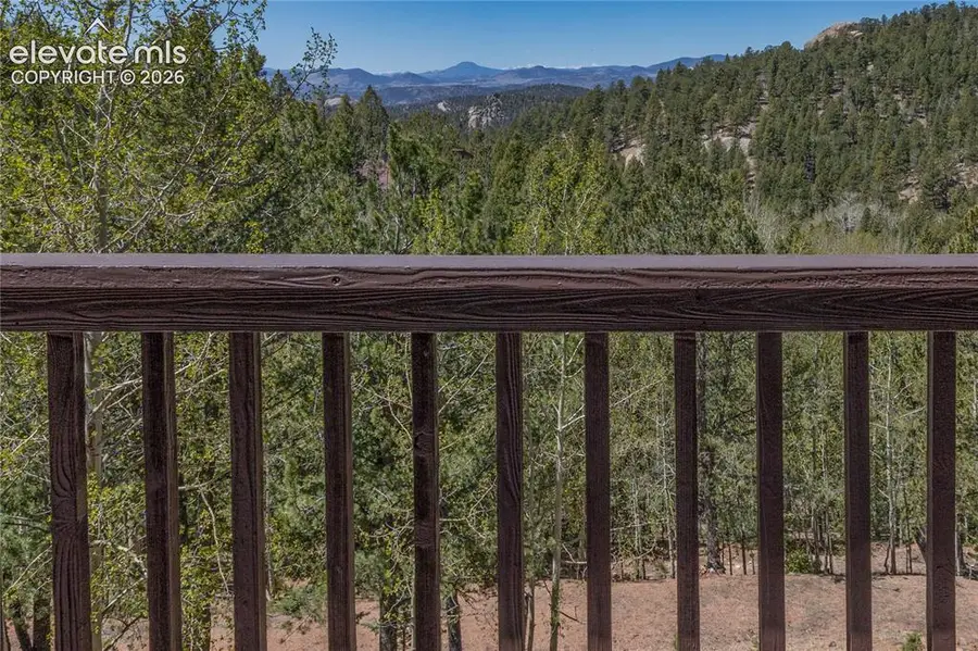 265 Homestead Road, Divide, CO 80814 - #2
