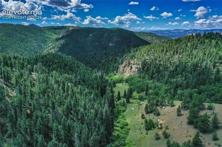 265 Homestead Road, Divide, CO 80814 - #3