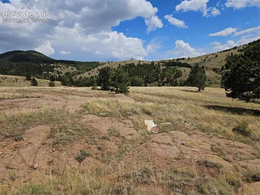 617 S 3rd Street, Victor, CO 80860 - #1