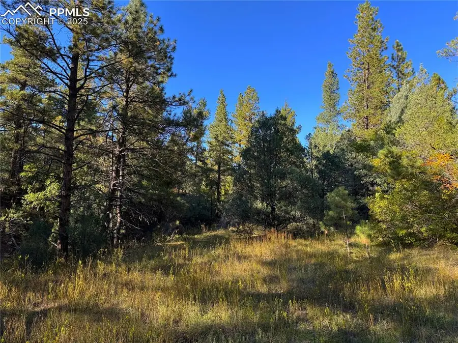 19S Old Crow Path, Canon City, CO 81212 - Image #3