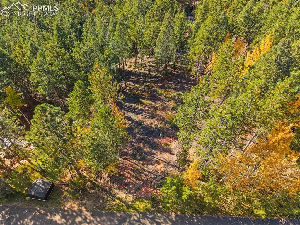 1320 Forest Edge Road, Woodland Park, CO 80863 - #1