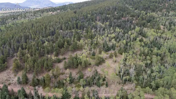 Lot 2915 Henderson Drive, Fort Garland, CO 81133