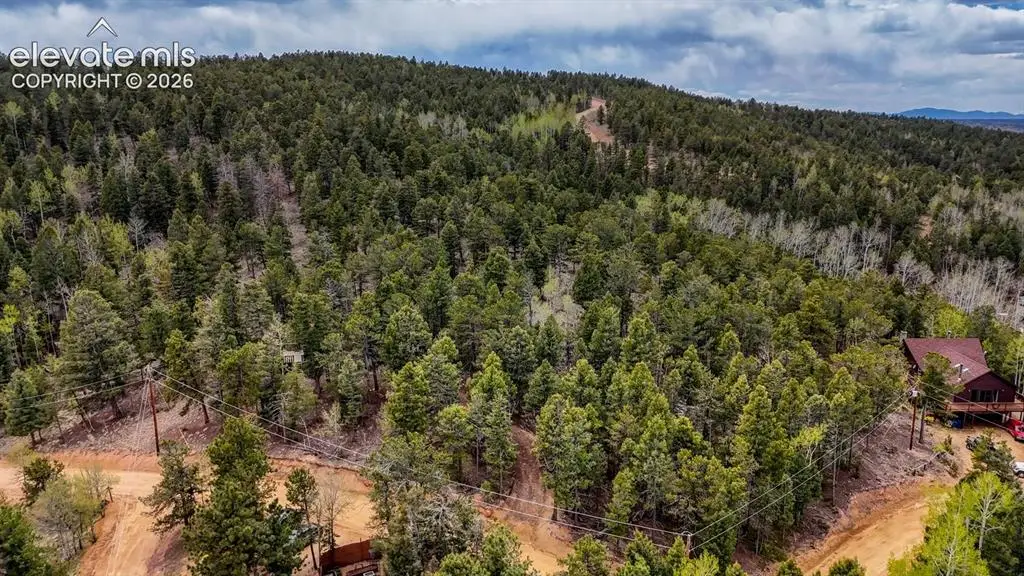 259 Potlatch Trail, Woodland Park, CO 80863 - #1